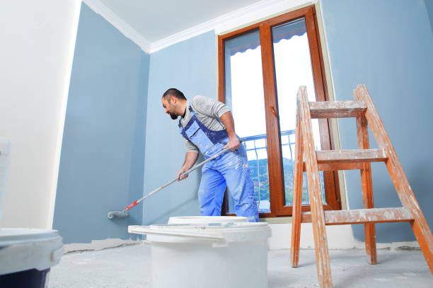 Best Mold Odor Removal Services  in Boyne City, MI