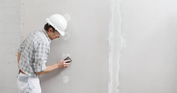 Best Mold Documentation for Insurance Claims  in Boyne City, MI