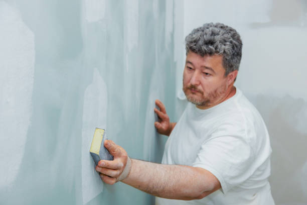 Best Industrial Mold Remediation  in Boyne City, MI