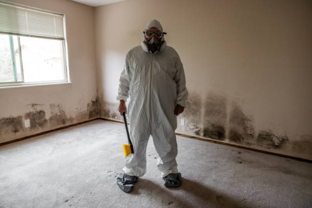 Best Biohazard Mold Removal  in Boyne City, MI