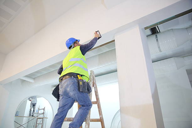 Trusted Boyne City, MI Mold Removal Experts